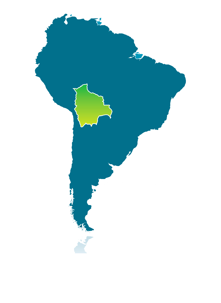 Target Software La Paz - Bolivia